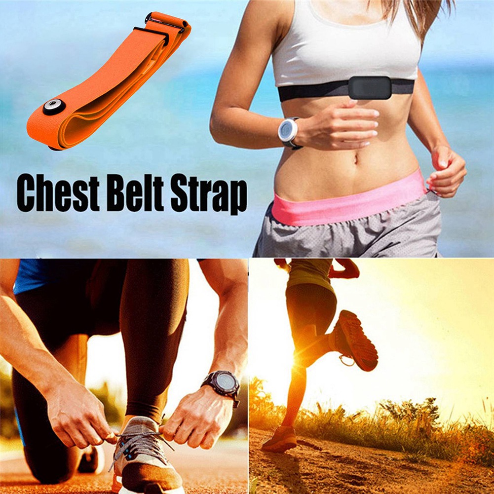 Fascia toracica per cintura di - Breath Rate Monitor recensione e prezzo